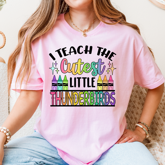 "I Teach the Cutest Little Thunderbirds" Teacher T-Shirt